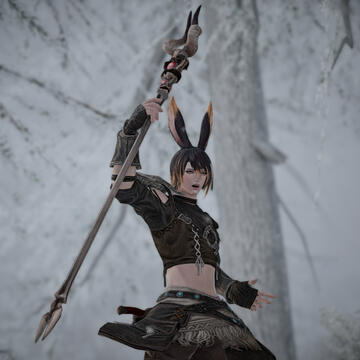Wood Warder